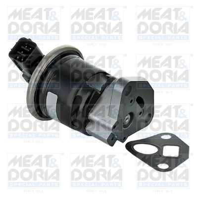 EGR Valve